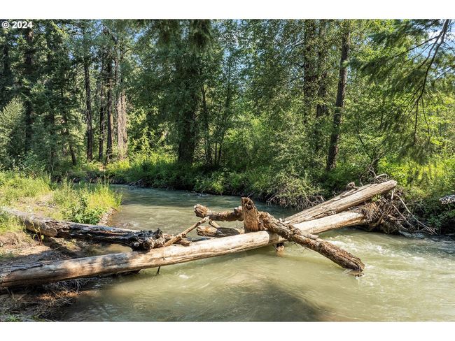 River Access | Image 4