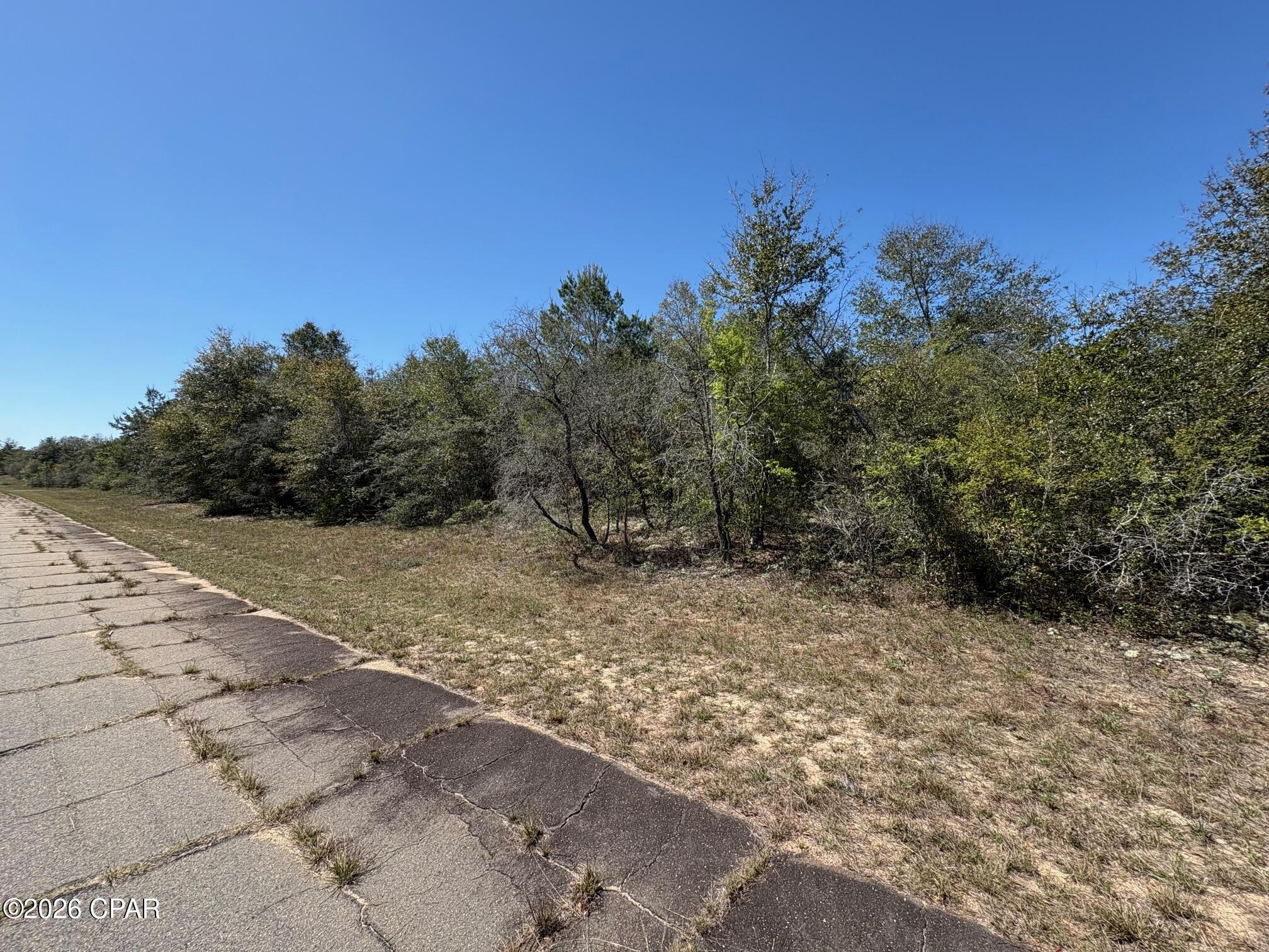 Land in Chipley 3