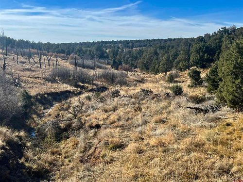 buck-haven-ranch-000 Cr 116 Road, Hesperus, CO, 81326 | Card Image