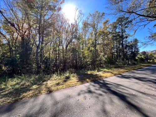 00 Shoofly Road Road, Ridgeville, SC, 29472 | Card Image