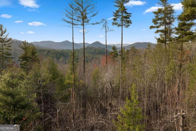 4 - 81 Morgan Trl, House other with 3 bedrooms, 3 bathrooms and null parking in Epworth GA | Image 52