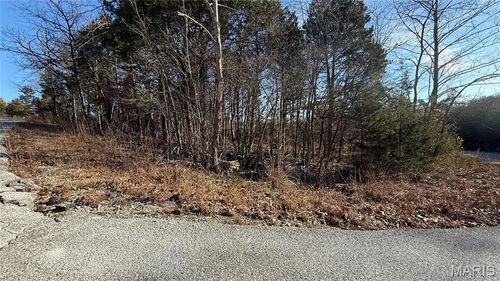 0 Sassafras Dr, Hillsboro, MO, 63050 | Card Image