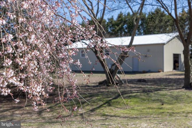 32828 Murray Rd, House other with 3 bedrooms, 5 bathrooms and null parking in FRANKFORD DE | Image 91