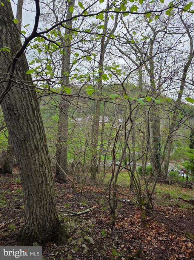 0 W Clearview Dr, Home with 0 bedrooms, 0 bathrooms and null parking in GLEN ROCK PA | Image 29