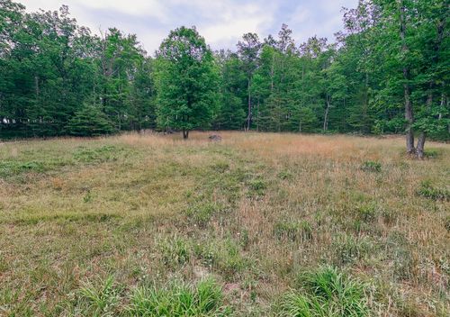 0 Johns Creek Mountain Rd, New Castle, VA, 24127 | Card Image