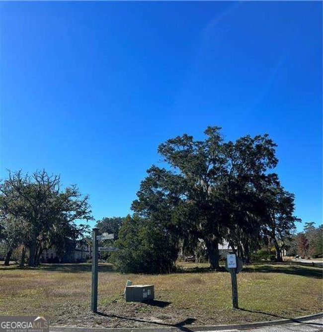 LOT 48 Maiden Creek Dr, Home with 0 bedrooms, 0 bathrooms and null parking in Waverly GA | Image 6