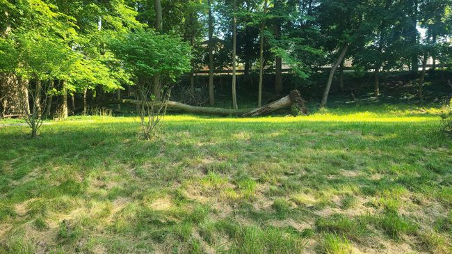 2421 Crest Dr, Home with 0 bedrooms, 0 bathrooms and null parking in Kalamazoo MI | Image 4