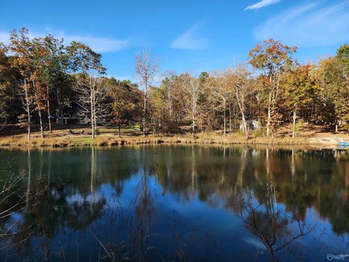 Lot #1 Road 9079, Mentone, AL, 35984-2362 | Card Image
