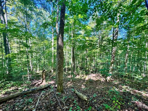 0 W Bobcat Ln, Wilder, TN, 38589 | Card Image