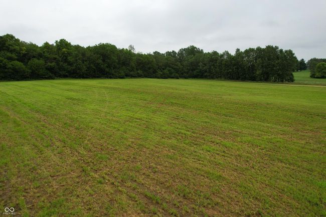 view of green lawn featuring a wooded view | Image 14