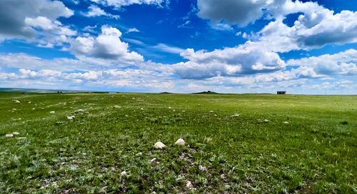 Lot 216 S Tamarack Drive, Augusta, MT, 59410 | Card Image