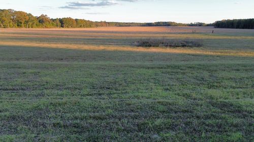 Tbd Binnicker Bridge Rd, Cope, SC, 29038 | Card Image