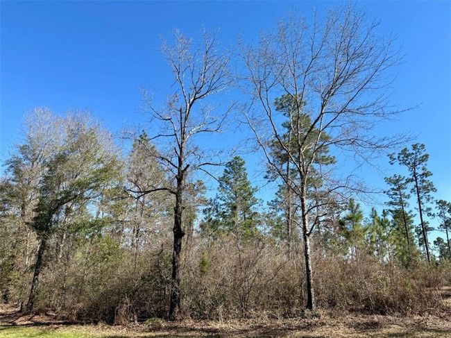 0 Robert White Rd, Home with 0 bedrooms, 0 bathrooms and null parking in Bay Minette AL | Image 5