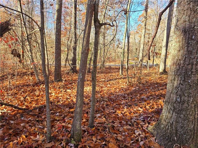 101 Chantry Ln, Home with 0 bedrooms, 0 bathrooms and null parking in Daniels WV | Image 9