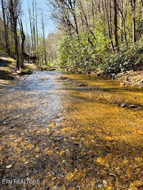 7.68AC Ellis Creek Rd, Reliance, TN, 37369 | Card Image
