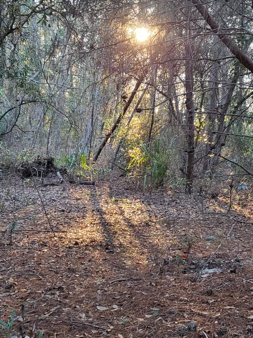 00 Beulah Church Rd, Crescent City, FL, 32112 | Card Image