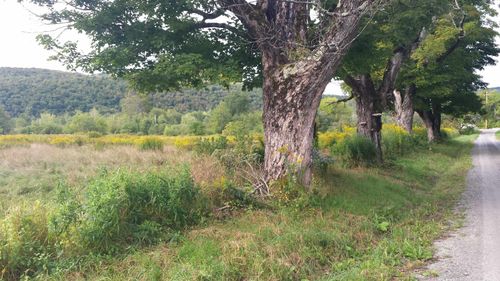 0 Old County Lane, Readsboro, VT, 05350 | Card Image