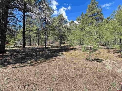 39 W Nebo Ct, Pagosa Springs, CO, 81147-8879 | Card Image