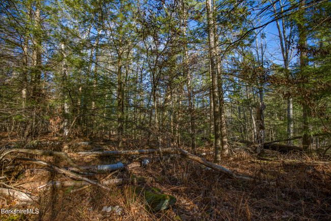 0 Goose Pond Rd, Home with 0 bedrooms, 0 bathrooms and null parking in Tyringham MA | Image 10