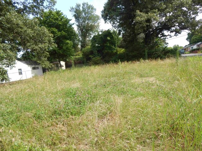 335 W Outer Parkway Dr, Home with 0 bedrooms, 0 bathrooms and null parking in Memphis TN | Image 4
