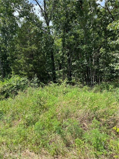 Lot 6 Forfar Dr, Bella Vista, AR, 72715-4406 | Card Image