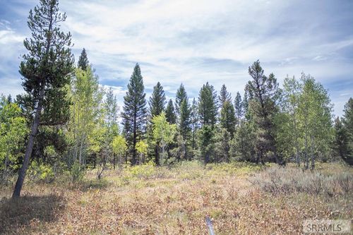 2819 Ne Sagehen Dr, Island Park, ID, 83429 | Card Image