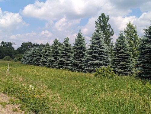 2101 Barron Polk St, COMSTOCK, WI, 54826-3202 | Card Image