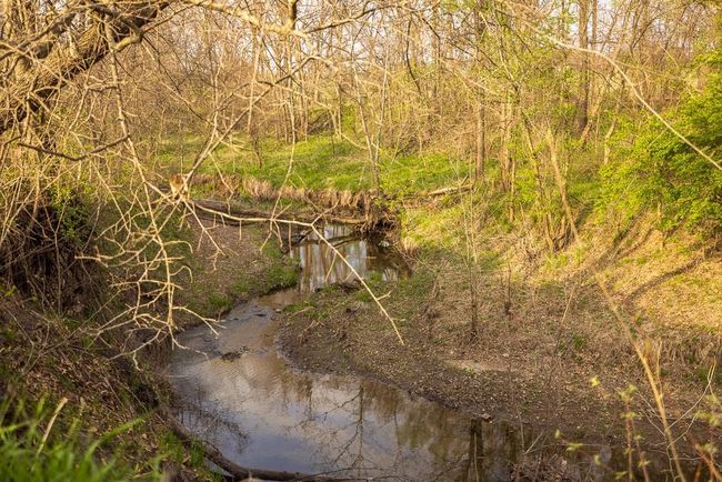 View of landscape | Image 89