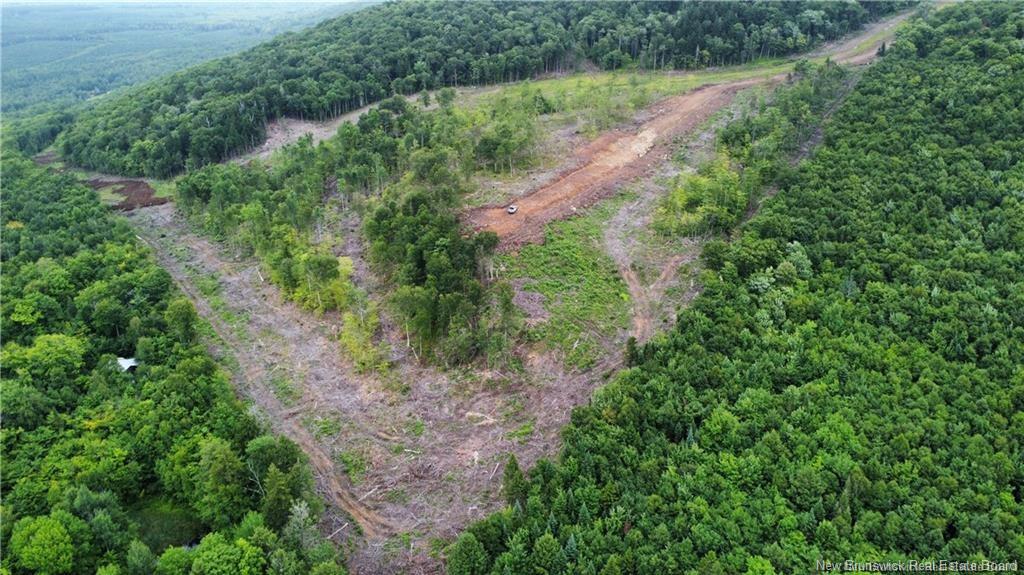Land in Central Hainesville 3