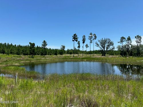 000 Nw Camp Head Rd, Altha, FL, 32421 | Card Image
