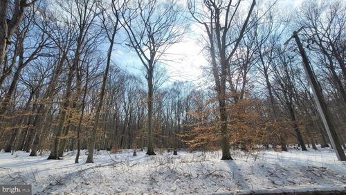 262 White Marsh Rd, CENTREVILLE, MD, 21617-2517 | Card Image