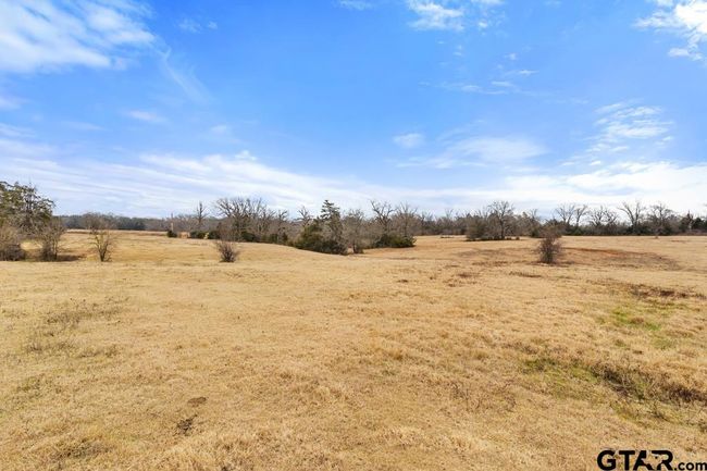 15037 State Highway 110, Home with 0 bedrooms, 0 bathrooms and null parking in Van TX | Image 44