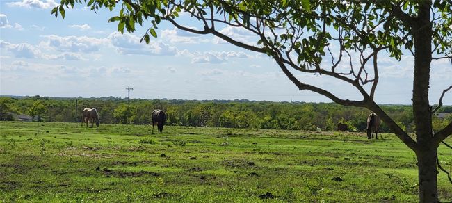 Another view of neighbors ranch. | Image 16