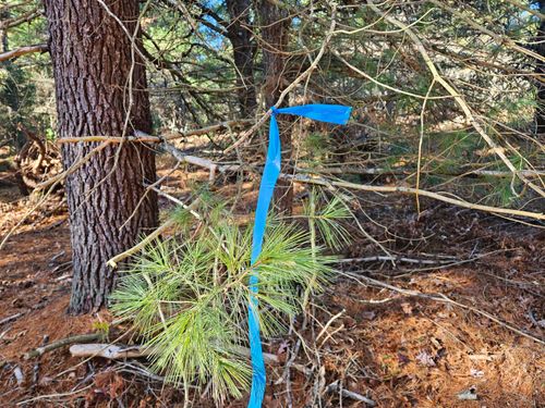 Parcel O Tatanka Trail, Baldwin, MI, 49304 | Card Image