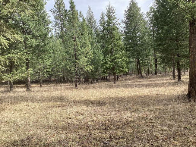 1 Eagle Pass Road, Home with 0 bedrooms, 0 bathrooms and null parking in Charlo MT | Image 25