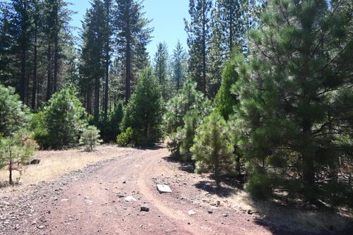 14 Chad Ct, Burney, CA, 96013 | Card Image