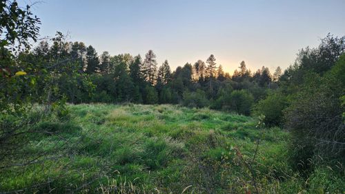 0 W Enoch Rd, Deer Park, WA, 99006 | Card Image