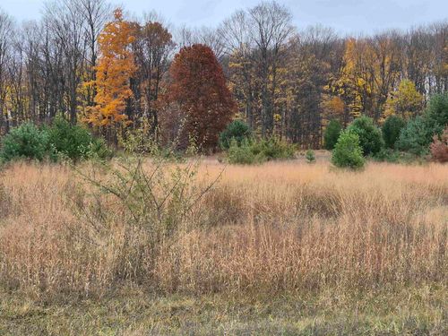 8980 Alden Mdws, Alden, MI, 49612-9578 | Card Image