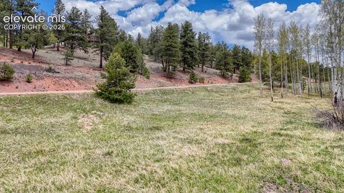 42 Rabbit Circle, Florissant, CO, 80816 | Card Image