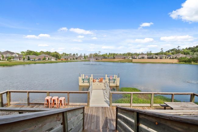 914 Golden Willow Ln, House other with 4 bedrooms, 3 bathrooms and 2 parking in Conroe TX | Image 36