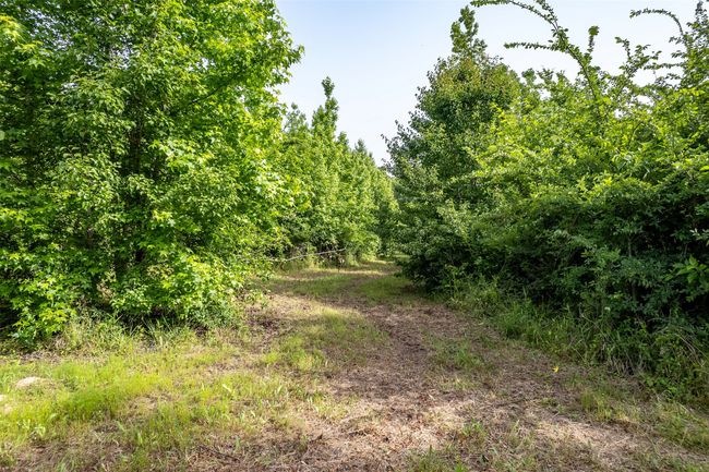 0 Johnson Rd, Home with 0 bedrooms, 0 bathrooms and null parking in Winona TX | Image 6