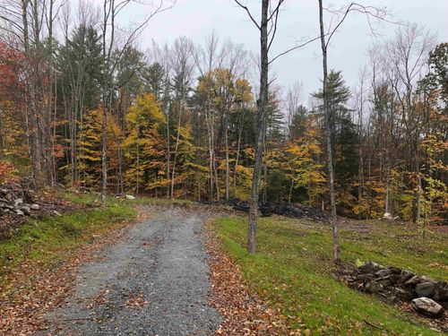 111 Gib Lockerby Rd, Grafton, VT, 05146 | Card Image