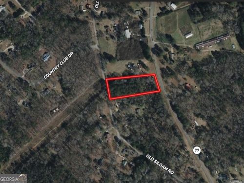 1-0 Old Union Point Rd, Union Point, GA, 30669 | Card Image