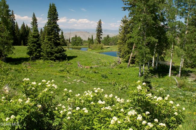 341 Corral Trl, House other with 0 bedrooms, 0 bathrooms and null parking in Silverthorne CO | Image 9