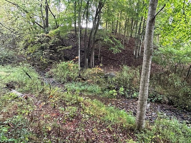 621 Point Pleasant Rd, House other with 2 bedrooms, 1 bathrooms and null parking in BLAND VA | Image 16