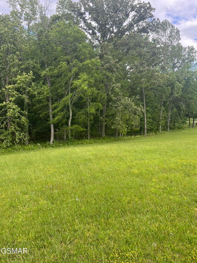 2526 Sunset Blvd, Home with 0 bedrooms, 0 bathrooms and null parking in White Pine TN | Image 17