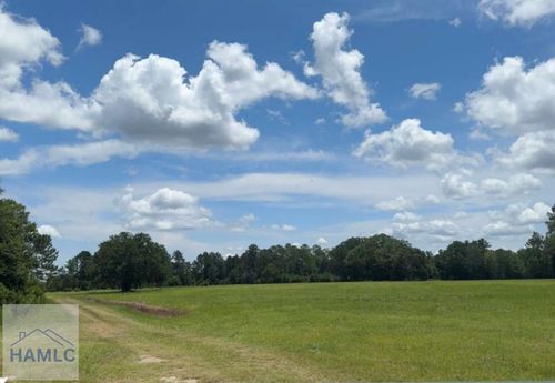 35+ Acre Wells Rd, Hinesville, GA, 31313-6975 | Card Image