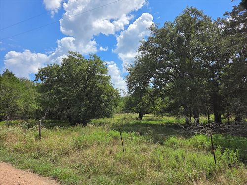 TBD Lot A Blue Bird Ln, Columbus, TX, 78934 | Card Image