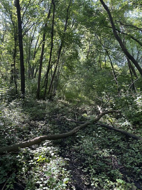 XXX 50th St Ne, Buffalo, MN, 55313 | Card Image