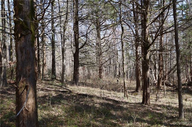 0 Golf Course Rd, Home with 0 bedrooms, 0 bathrooms and null parking in Halifax VA | Image 10